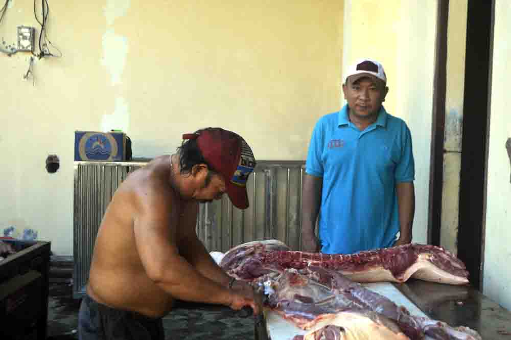 Kepala RPH Manado Joike Tumbel saat mengawasi proses pemotongan babi.